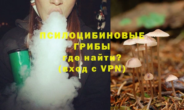 соль ск Щучье