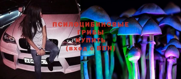а пвп мука Одинцово