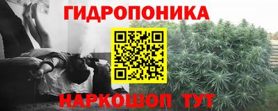 спайс Бузулук