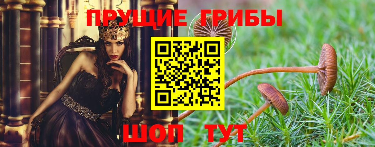Псилоцибиновые грибы прущие грибы  Галлюциногенные грибы MAGIC MUSHROOMS  Вологда  Вход с VPN 