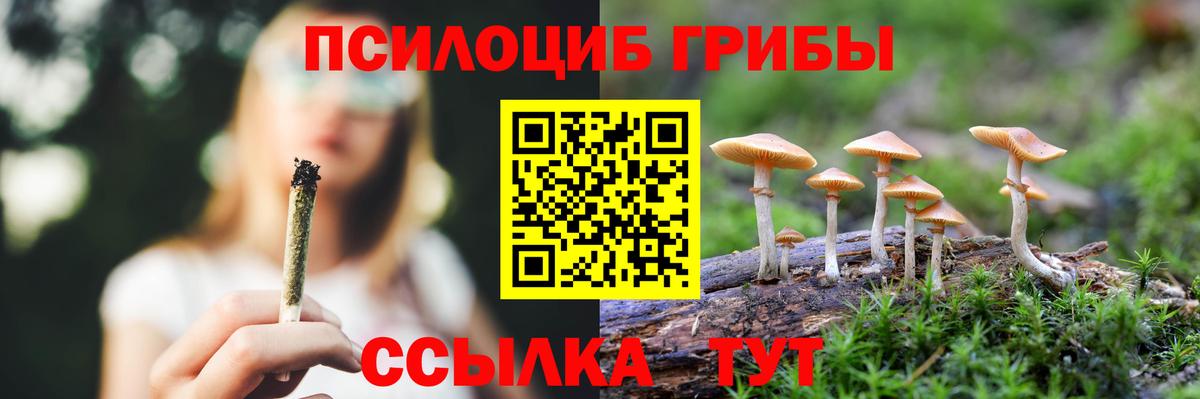 Галлюциногенные грибы GOLDEN TEACHER Вологда