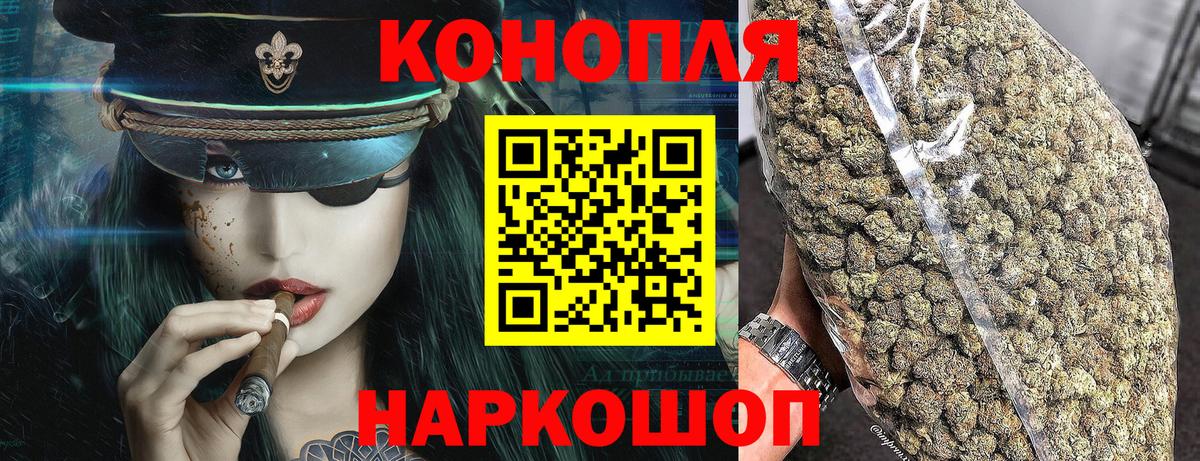 Канабис сатива Вологда